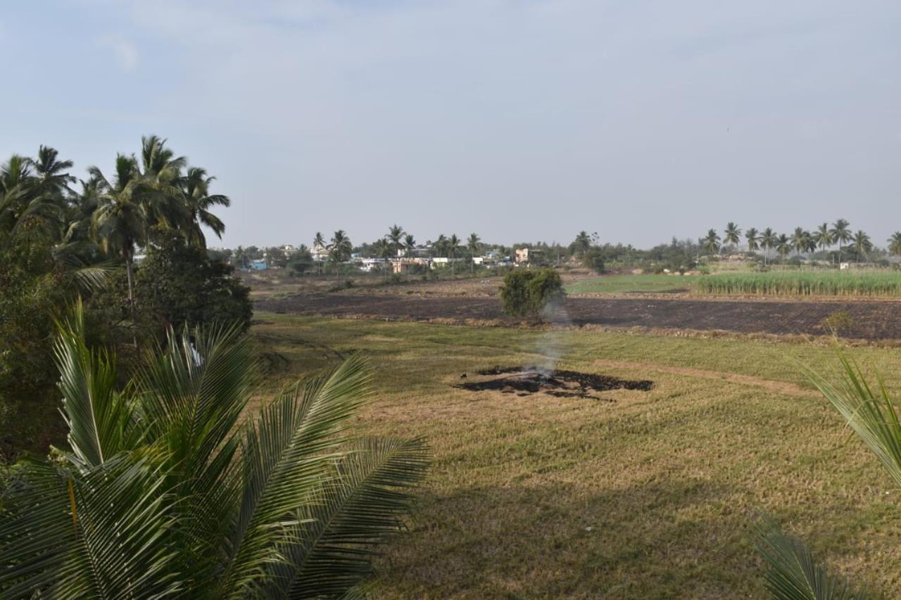 Coconut Homestay Hampi Exterior foto